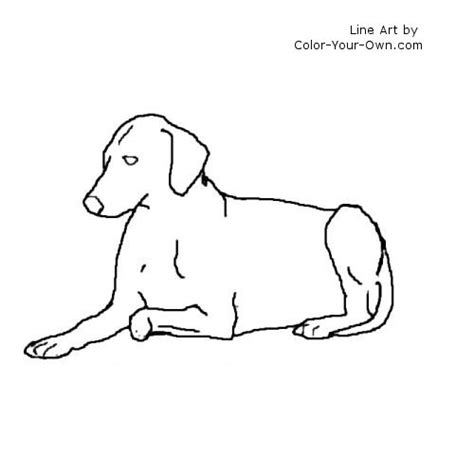Dog Lying Down Coloring Page