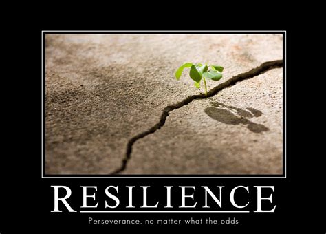 Resilience In Business Business Blogger
