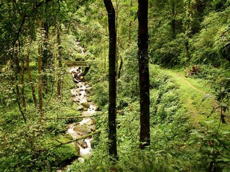 Neora Valley National Park Darjeeling 2020 All You Need To Know