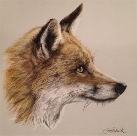 12 Best Images About Fox Drawing On Pinterest Fox Sketch