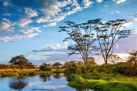 snapshot serengeti national park inspiring vacations