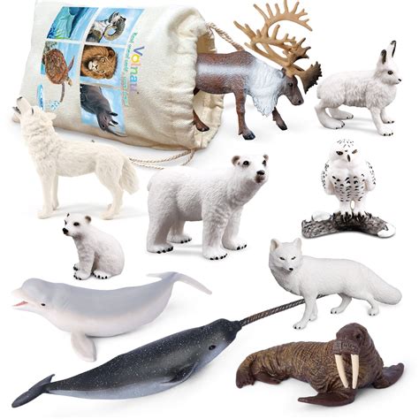 Buy Volnau Sea Creature Toys Figures 9pcs Arctic Circle Ocean Animals