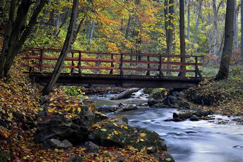 Free Images Landscape Tree Nature Forest Wilderness Bridge