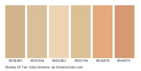 Shades Of Tan Color Scheme Brown