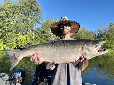 Sacramento River Salmon Fishing Report — Jeff Goodwin Fishing