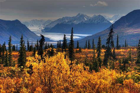 Taiga Glacier And Chugach Mountains Photograph By Photo Tan Yilmaz