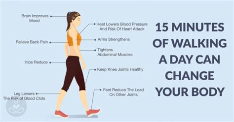 How 15 Minutes Of Walking Per Day Can Change Your Body Wise Thinks