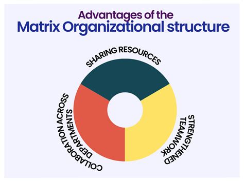 matrix organizational structure 101 a comprehensive guide