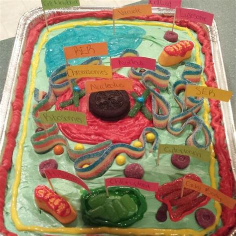 I have a science project to make a 3d plant or animal cell and this is perfect! Plant cell, Plants and Cakes on Pinterest