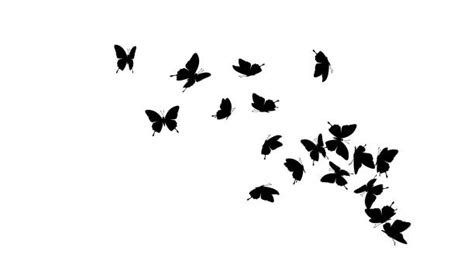 Free Free 116 Butterfly Group Svg SVG PNG EPS DXF File
