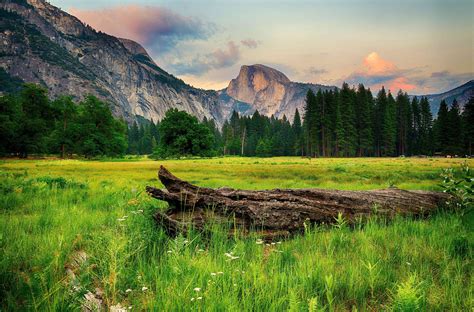 Mountains Trees Landscape Wallpaper 7362x4858 441332 HD Wallpapers Download Free Map Images Wallpaper [wallpaper376.blogspot.com]