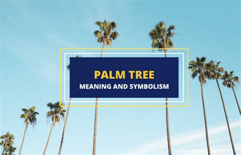 Palm Tree Meaning And Symbolism Symbol Sage