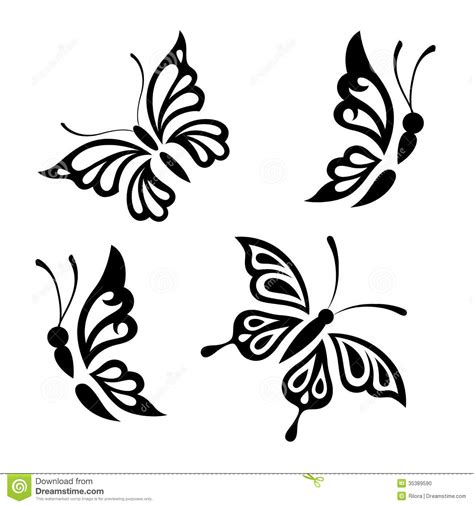 We did not find results for: Collection Black And White Butterflies Stock Vector ...