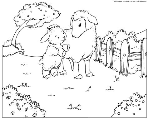 Dibujos animados de ovejas para colorear