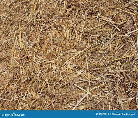Straw Texture Stock Photo Image Of Food Farm Background 45323210