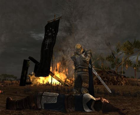 In The Aftermath Of The Battle The Laurelin Archives