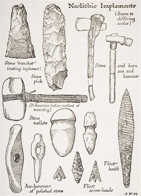 Neolithic Implements From The Book The Drawing By Vintage Design Pics