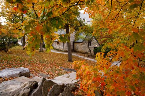 Fall Foliage At Indiana University James Brosher Photography