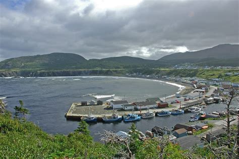 8 Fun And Awesome Facts About Trout River Newfoundland And Labrador
