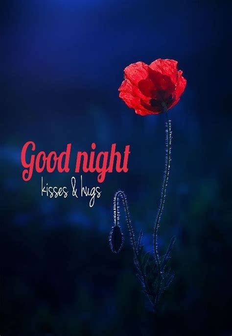 Good Night Kisses And Hugs Bye