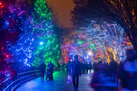 Check spelling or type a new query. 6 magical holiday events in Washington DC | Orbitz
