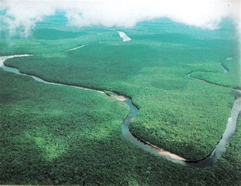 Orinoco River Basin And Delta South America Lac Geo