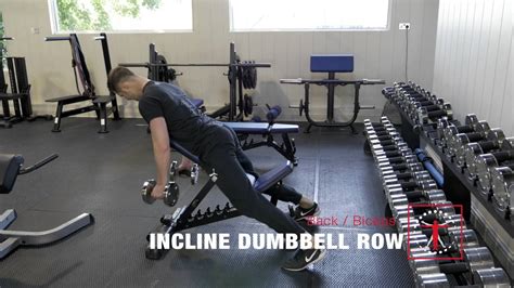 Incline Dumbbell Row Technique Demonstration YouTube