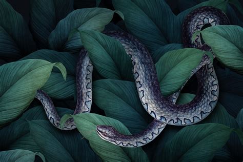 Snake On A Leafy Background Premium Psd Rawpixel