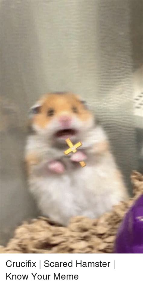 Crucifix Scared Hamster Know Your Meme Meme On Meme