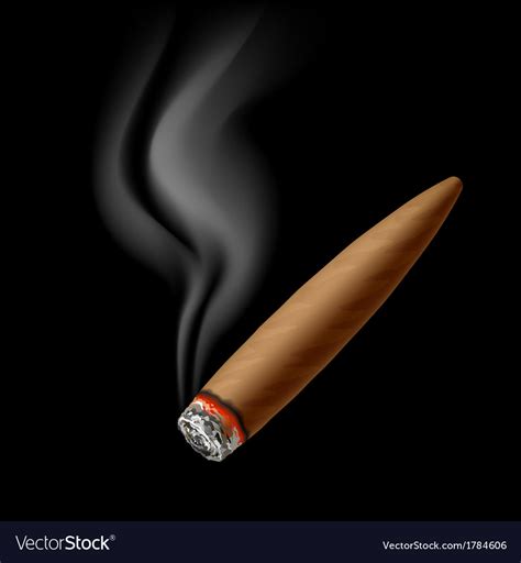 cigar with smoke royalty free vector image vectorstock