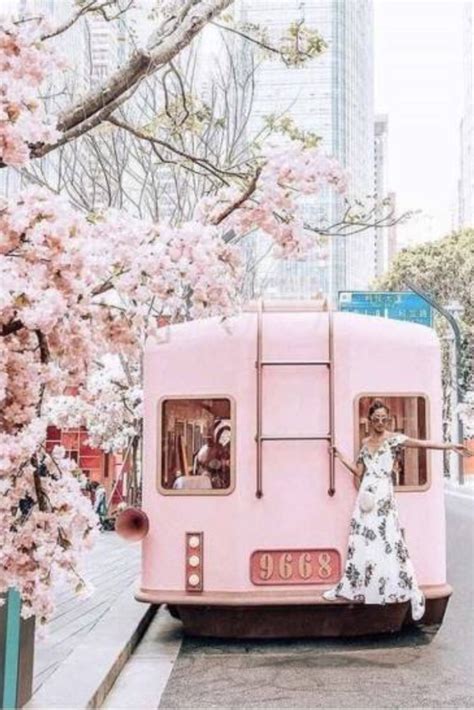 Discover The Beauty Of Pink Travel