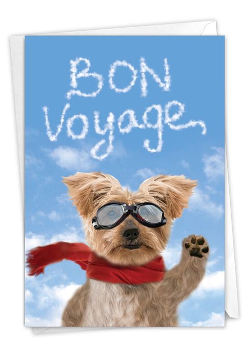 1 Funny Bon Voyage Card With Envelope Goodbye Dog Bon Voyage C6345bvg