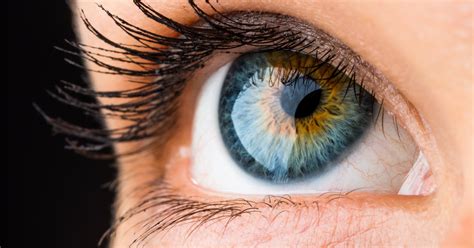 Causes Of Flashes In The Outer Corner Of The Eye Livestrongcom