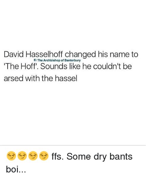 David Hasselhoff Changed His Name To The Hoff Sounds Like He Couldnt