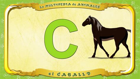 La Multipedia De Animales Letra C El Caballo смотреть онлайн