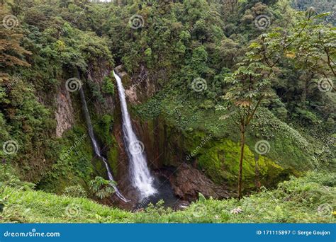 Catarata Del Toro Waterfall Near Poas Volcano Costa Rica Stock Image