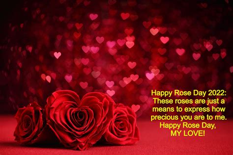 Happy Rose Day 2022 Wishes Images Quotes Messages And Whatsapp