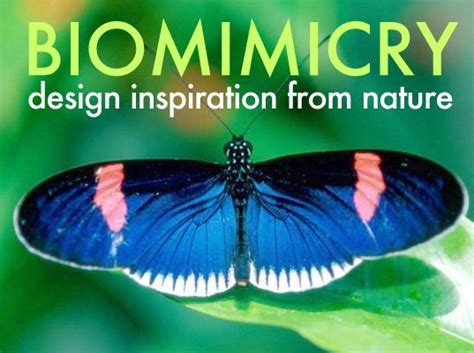 Design Inspired By Nature Biomimicry For A Better Planet Biomimicry