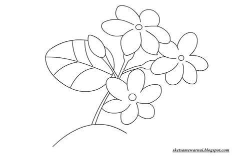 Mewarnai halaman bunga padang rumput. Sketsa Mewarnai Gambar Bunga Melati - Sketsa Mewarnai