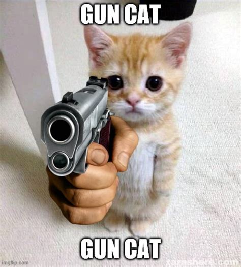 Cat Holding Gun Meme
