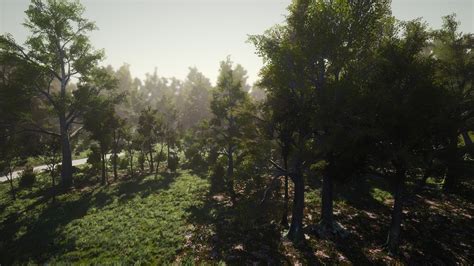3d Scanned Photo Realistic Forest Landscape Asset Pack Vol 1 In