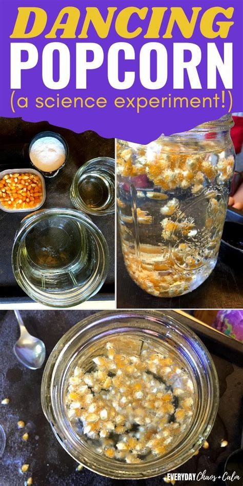 How To Make Dancing Popcorn A Science Activity Science Experiments