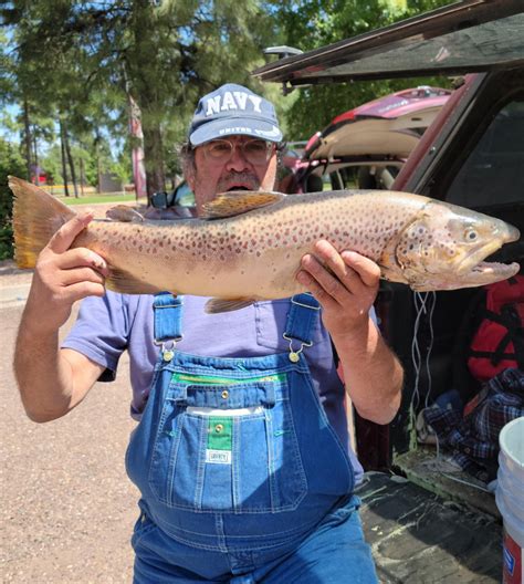 Goldwater Lake Fish Report Prescott Az Yavapai County