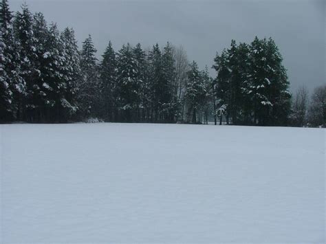 Snowy Field By Fwulf On Deviantart