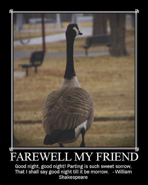 Goodbye Funny Pictures 120 Funny And Cool Ways To Say Goodbye