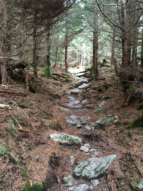 Photo Of Hike Mount Mitchell Via Old Mitchell Trail