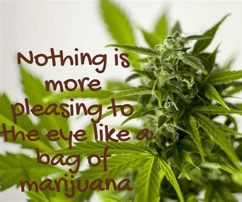 50 Sweet And Funny Weed Quotes And Sayings That Will Crack You Up 2022