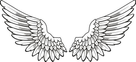 White Wings Png Hd Image Png All Png All