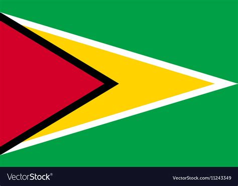 Flag Of Guyana In Correct Proportions And Colors Vector Image