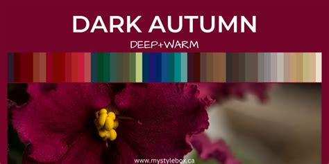 Dark Autumn Seasonal Colour Guide